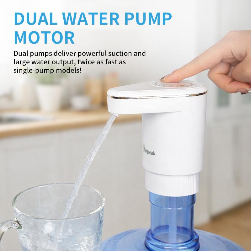 Dual-Pump Electric Water Pump