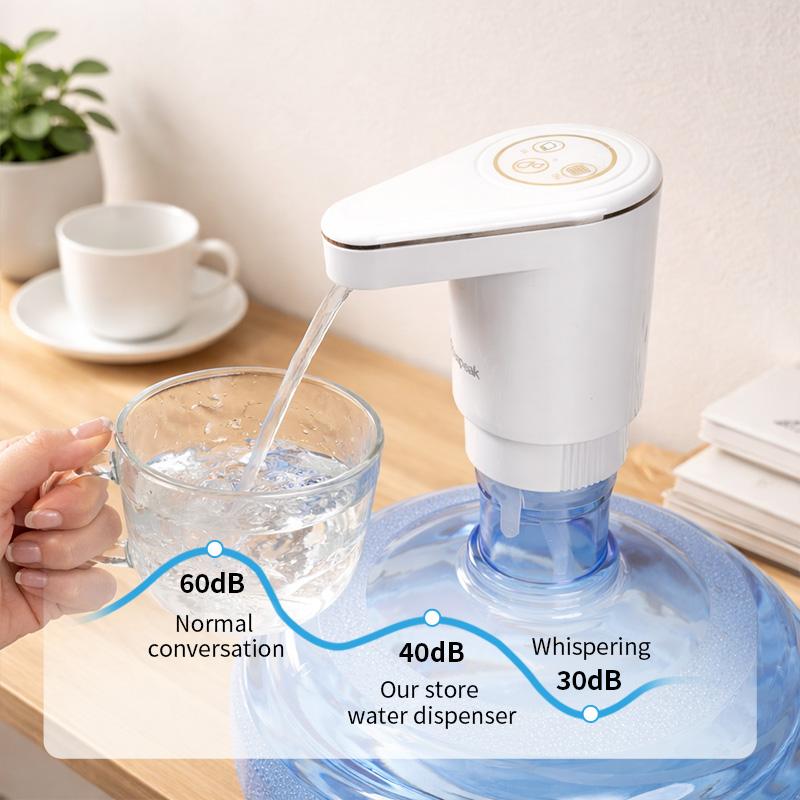 Dual-Pump Electric Water Pump